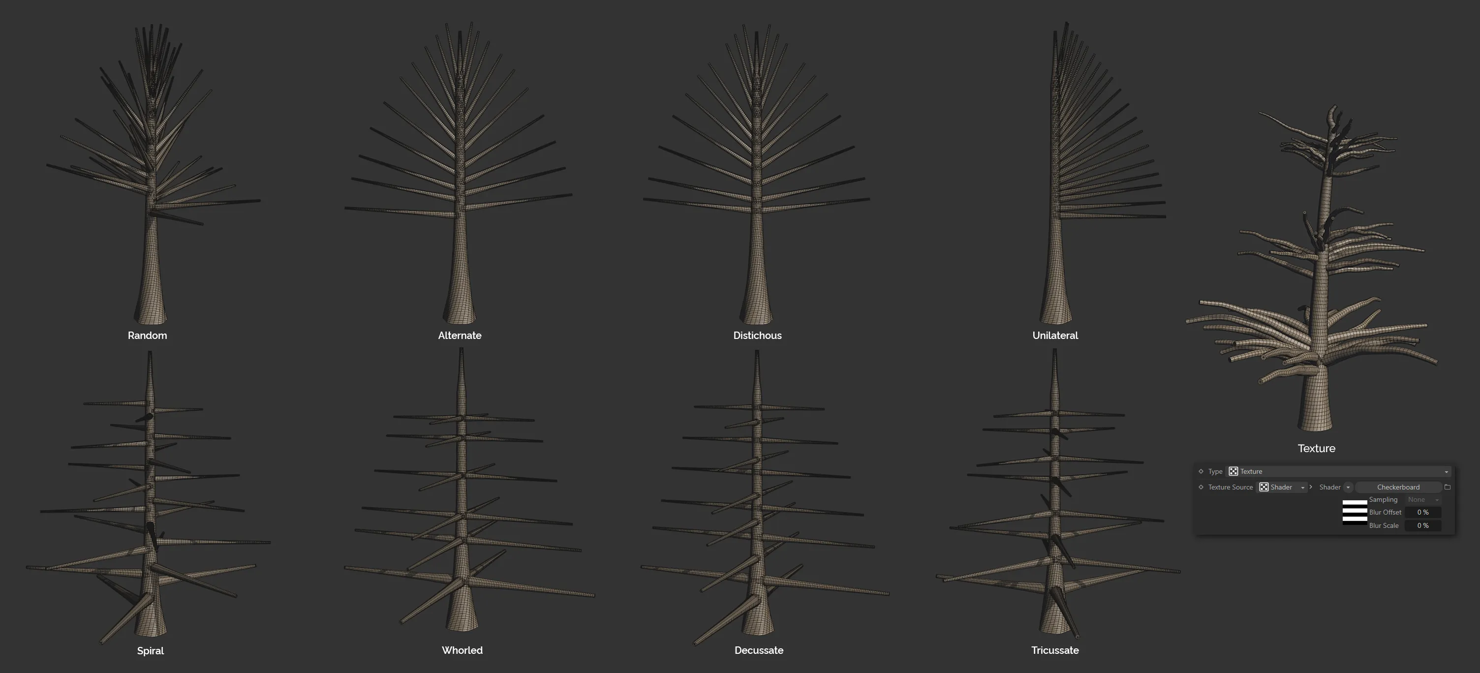 toPlant_Branch_Distribution Types.png