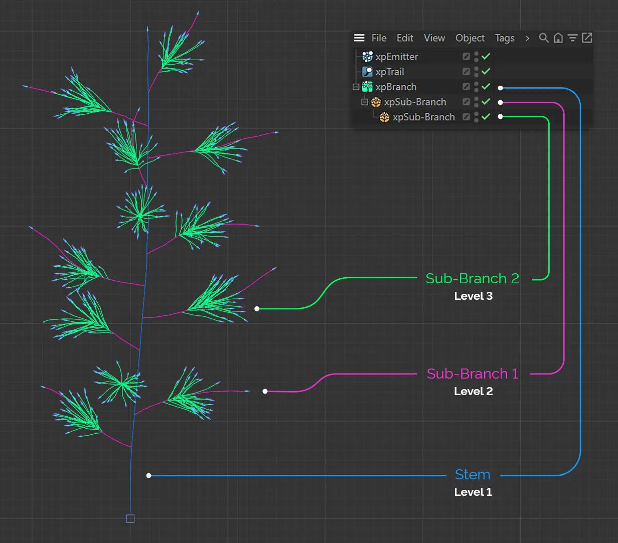 xpBranch_Hero Image_v01.png