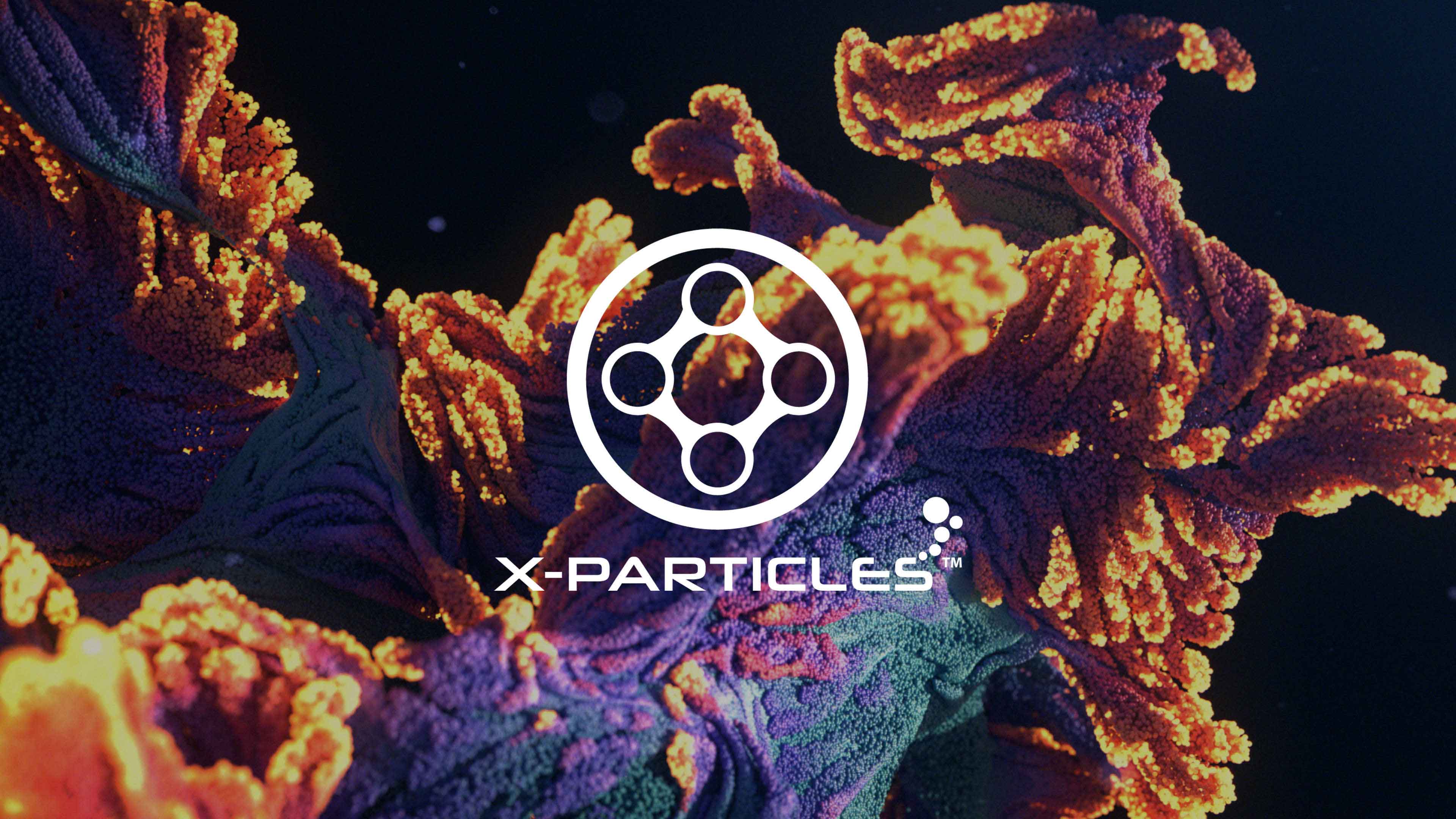 X-Particles